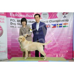 Winner Photo 20120915 albums-86-NKN_4581 Winner Photo 20120915 albums-86-NKN_4581
