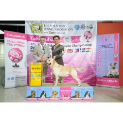 Winner Photo 20120915 albums-85-NKN_4488 Winner Photo 20120915 albums-85-NKN_4488