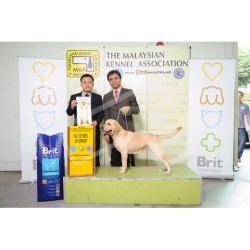 Winner Photo 20121209 albums-97-NKN_9725 Winner Photo 20121209 albums-97-NKN_9725