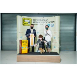 Winner Photo 20210425 albums-376-_KIT3244