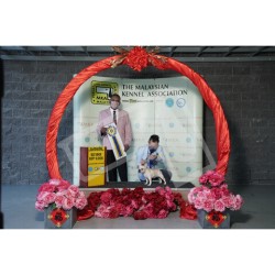 Winner Photo 20220116 albums-379-KIT05642