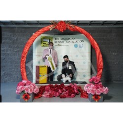 Winner Photo 20220116 albums-379-KIT05659