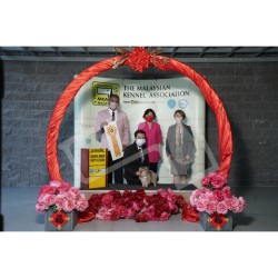 Winner Photo 20220116 albums-379-KIT05651