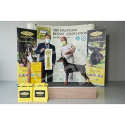 Winner Photo 20220612 albums-384-KIT07758