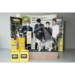 Winner Photo 20220612 albums-384-KIT07764