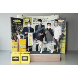 Winner Photo 20220612 albums-384-KIT07760