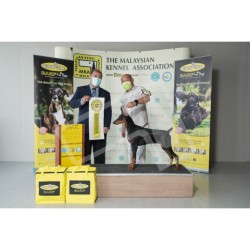 Winner Photo 20220612 albums-384-KIT07753
