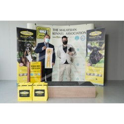 Winner Photo 20220612 albums-384-KIT07749