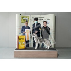 Winner Photo 20220814 albums-387-KIT01519