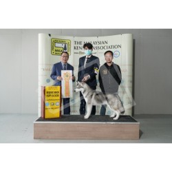 Winner Photo 20220814 albums-387-KIT01521