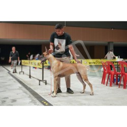 Candid Photo 20230722 albums-406-KIT08153