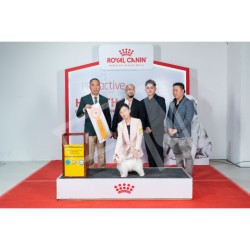 Winner Photo 20230915 albums-409-DSA1_0004