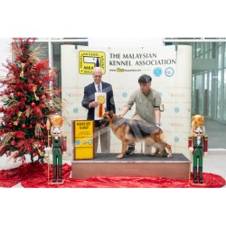 Winner Photo 20231126 albums-417-DSC_9134 Winner Photo 20231126 albums-417-DSC_9134