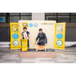 Winner Photo 20250406 albums-455-MKA4396
