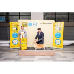 Winner Photo 20250406 albums-456-MKA4393
