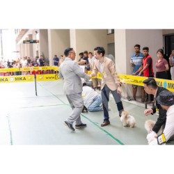 Candid Photo 20250406 albums-454-FLX_1404