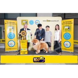 Winner Photo 20250705 albums-457-MKA050720255208