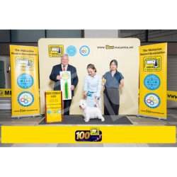 Winner Photo 20250705 albums-457-MKA050720255234