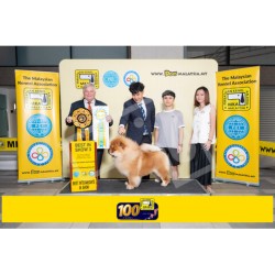 Winner Photo 20250705 albums-457-MKA050720255214