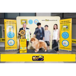 Winner Photo 20250705 albums-457-MKA050720255211