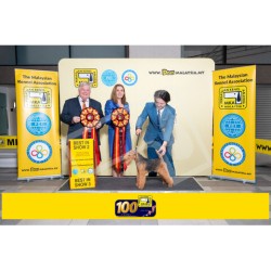 Winner Photo 20250705 albums-458-MKA050720255198