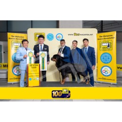 Winner Photo 20250706 albums-459-MKA060725-5956