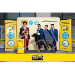 Winner Photo 20250706 albums-459-MKA060725-5950