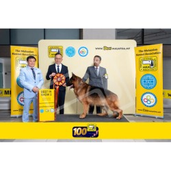 Winner Photo 20250706 albums-460-MKA060725-6028