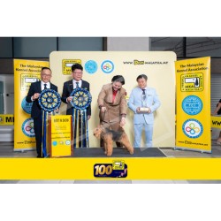 Winner Photo 20250706 albums-460-MKA060725-5940
