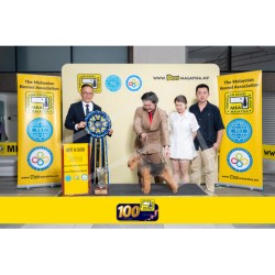 Winner Photo 20250706 albums-460-MKA060725-5921