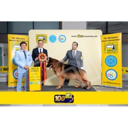 Winner Photo 20250706 albums-460-MKA060725-6022