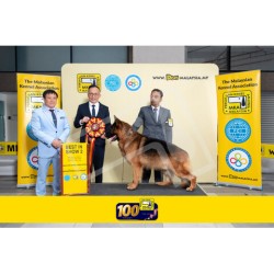 Winner Photo 20250706 albums-460-MKA060725-6029